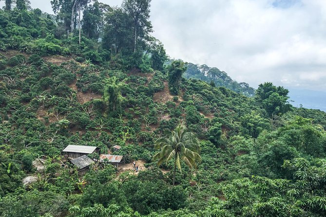 Chiang mai Hike & Downhill Bike Adventure –Suthep National Park - Stop 4: Doi Suthep–Pui National Park downhill riding with real adrenaline