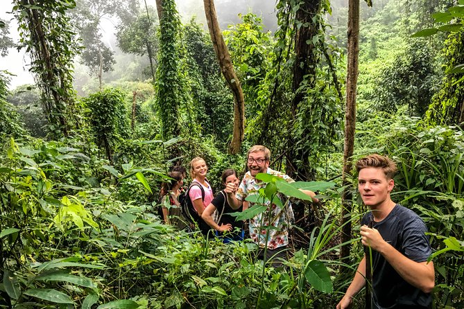 Chiang mai Hike & Downhill Bike Adventure –Suthep National Park - How hard is it, and who should book it