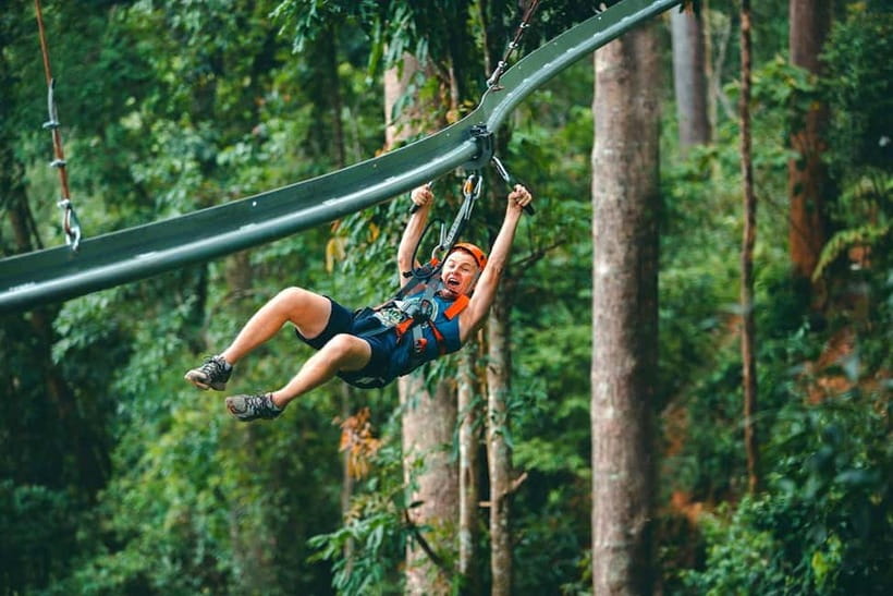 Chiang Mai: Jungle Flight Zip Line Roller Coaster - The roller-coaster finish: what to expect from the jerky ride