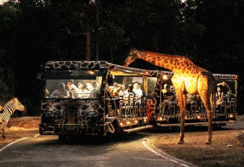 Chiang Mai: Night Safari Ticket with Transfer - Quick hits before you go
