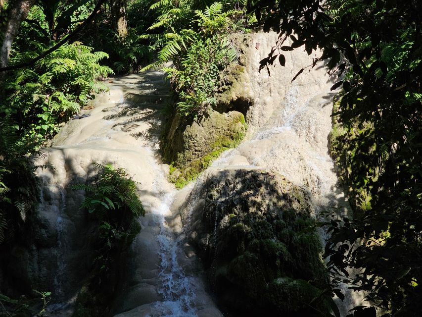 Chiang Mai: Sticky Waterfall Half-Day Tour & Hotel Transfers - Key Things I’d Plan Around