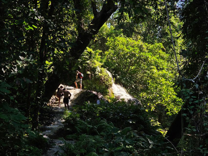 Chiang Mai: Sticky Waterfall Half-Day Tour & Hotel Transfers - Sticky Waterfall in Si Lanna National Park: What You’re Really Getting