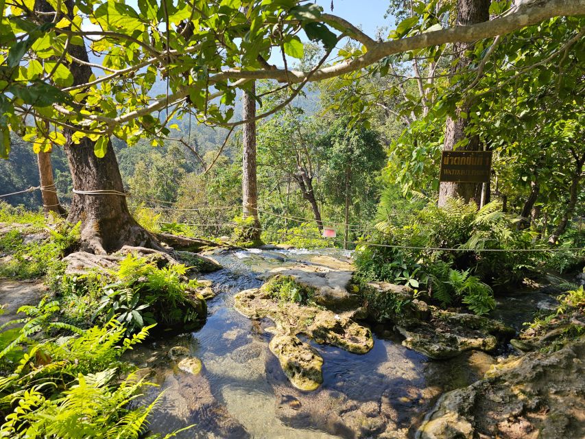 Chiang Mai: Sticky Waterfall Half-Day Tour & Hotel Transfers - The Climb: Self-Guided Limestone Cascades Without a Guide