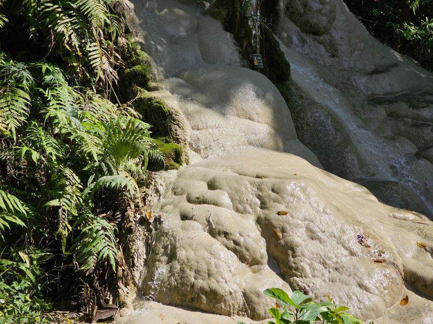 Chiang Mai: Sticky Waterfall Half-Day Tour & Hotel Transfers - Reaching the Top: Blue-Green Spring Views and Quiet Shade Time