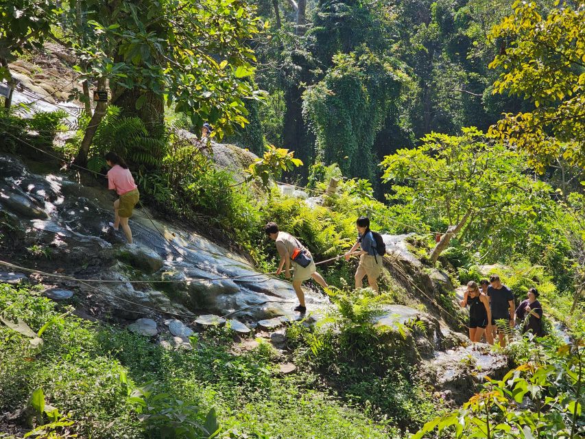 Chiang Mai: Sticky Waterfall Half-Day Tour & Hotel Transfers - Forest Wildlife Breaks: Birds You Might Spot in Si Lanna National Park