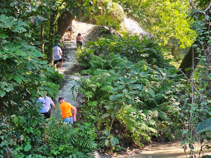 Chiang Mai: Sticky Waterfall Half-Day Tour & Hotel Transfers - What the 4 Hours Feels Like (and How to Plan Your Day)