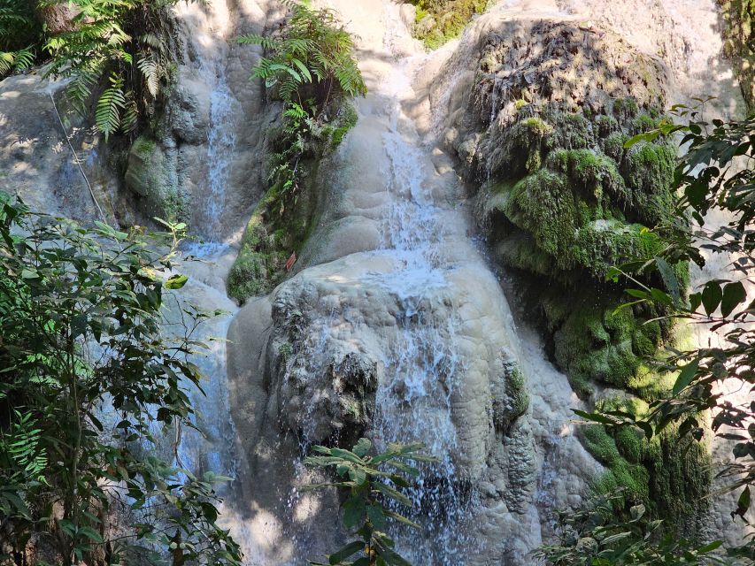 Chiang Mai: Sticky Waterfall Half-Day Tour & Hotel Transfers - Price and Value: Is $30 Worth It?
