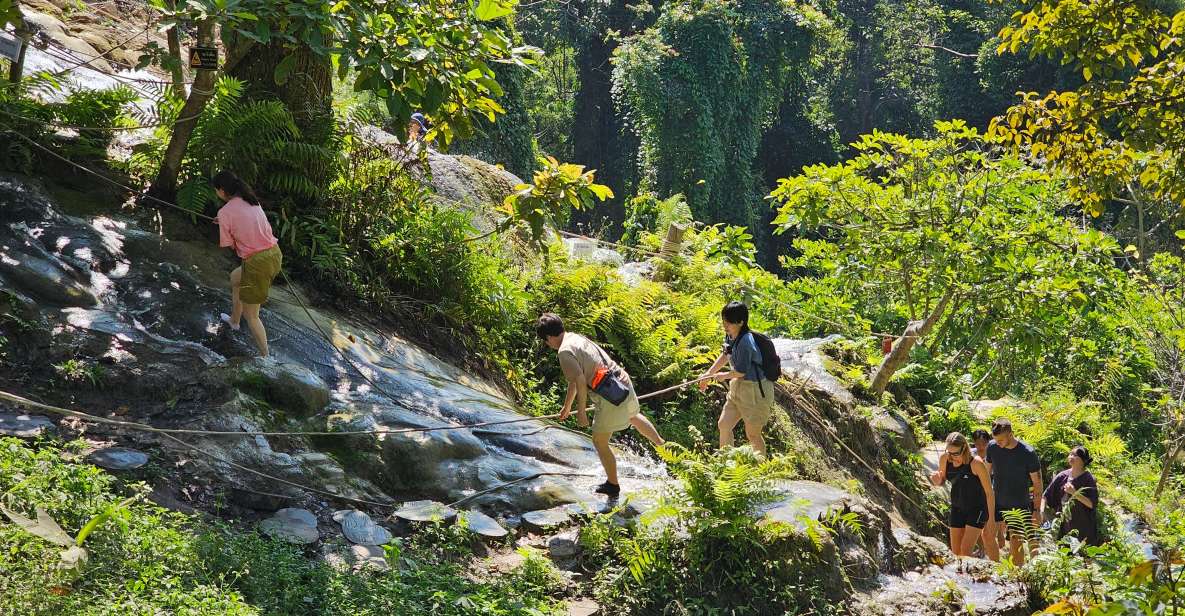Chiang Mai: Sticky Waterfall Half-Day Tour & Hotel Transfers - Small Details That Make a Big Difference