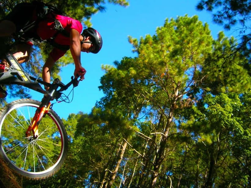 Chiang Mai: Suthep National Park Hiking & DH Mountain Biking - Quick take: what makes this Suthep hike-and-bike special