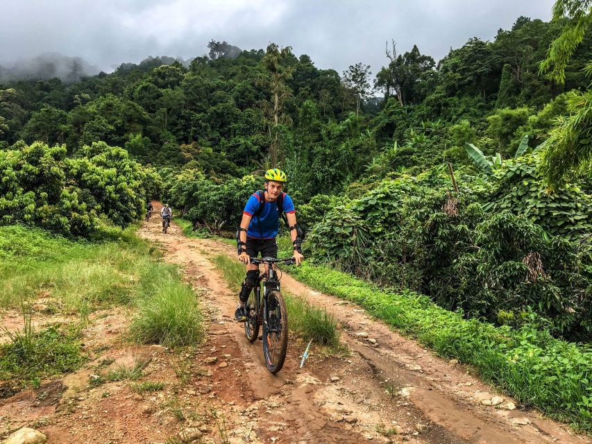 Chiang Mai: Suthep National Park Hiking & DH Mountain Biking - Morning logistics: hotel pickup, pro-shop setup, and real bike fitting