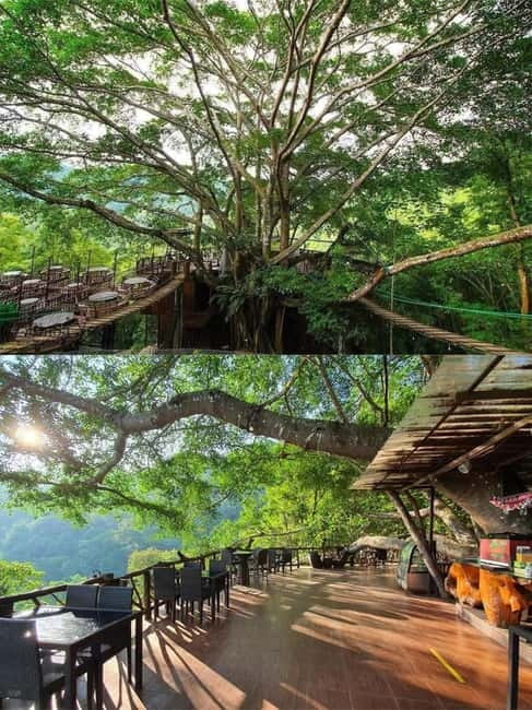 Chiang Mai: The Giant Café & Mae Kampong Village Day Trip - Quick hits you’ll care about