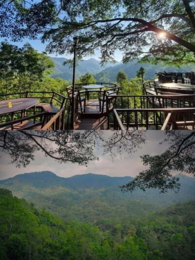 Chiang Mai: The Giant Café & Mae Kampong Village Day Trip - The mountain drive: pretty roads, good momentum