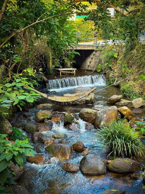 Chiang Mai: The Giant Café & Mae Kampong Village Day Trip - Your day’s pacing: how transport and free time work together