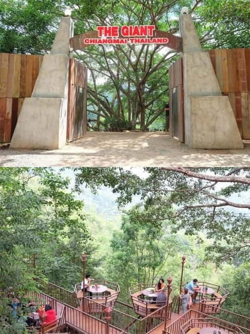 Chiang Mai: The Giant Café & Mae Kampong Village Day Trip - Price and value: what $54 buys you in the real world