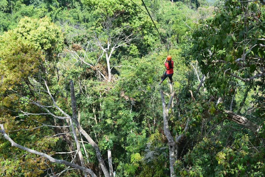 Chiang Mai: Zipline Adventure at Skyline Jungle Luge - Who this fits best (and who should skip it)
