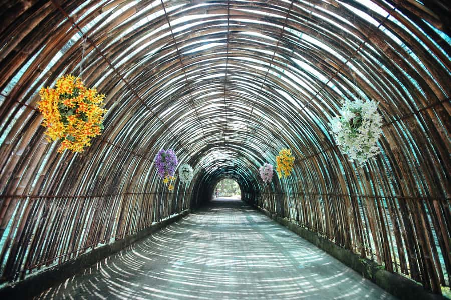 Chiang Mai: Zipline Adventure at Skyline Jungle Luge - Safety on the ground first: training, gear, and controlled takeoffs