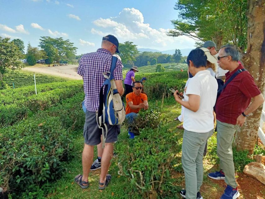 Chiang Rai Guide: Popular 7places 3Colors ,Golden Triangle - Long Neck Karen village: seeing living culture (with a realistic time window)