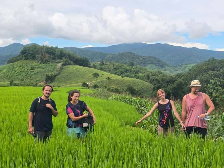 Chiang Rai: Jungle Adventure-Group Trekking & Bamboo Cooking - Price and value: what $80 buys in a full day of real effort
