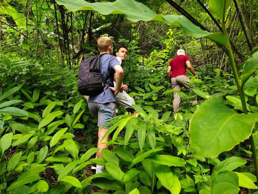 Chiang Rai: Jungle Adventure-Group Trekking & Bamboo Cooking - A jungle day that ends in mineral hot springs