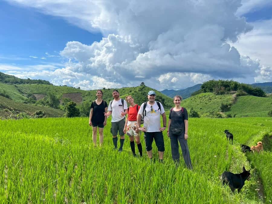 Chiang Rai: Jungle Adventure-Group Trekking & Bamboo Cooking - The waterfall stop: refreshing swim, not a pool day