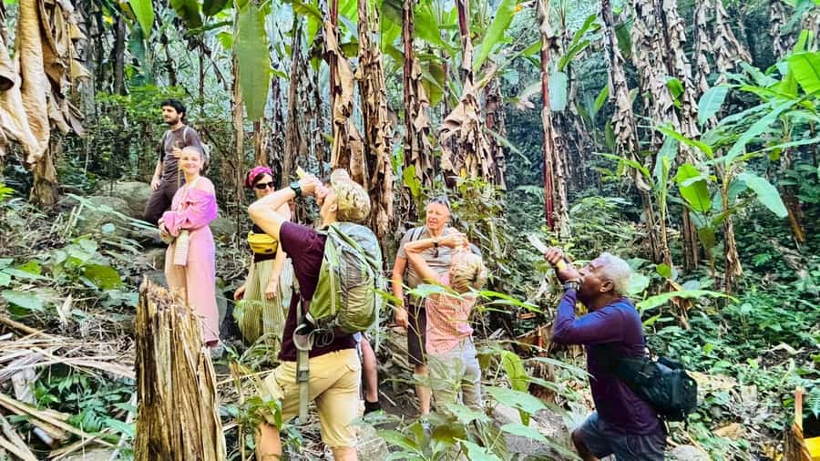 Chiang Rai: Jungle Adventure-Group Trekking & Bamboo Cooking - What the village visits add (and what to expect from them)