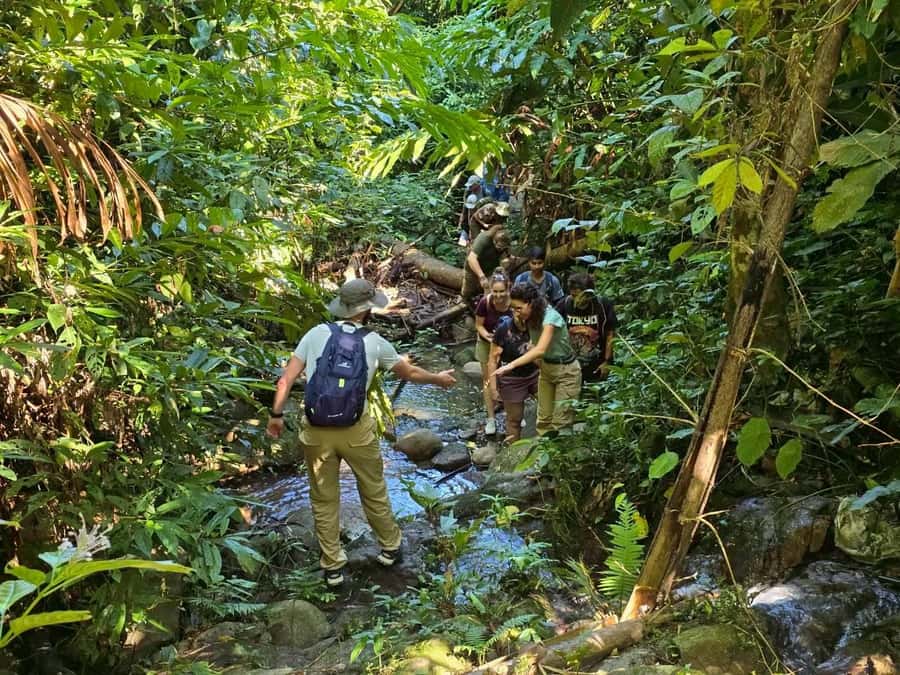 Chiang Rai: Jungle Adventure-Group Trekking & Bamboo Cooking - Your route: Pa Soert Hot Spring to villages, tea, and bamboo forest