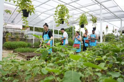 Cooking Class with Organic Farm in Chiang Mai at Mama Noi - Your own station in the kitchen: hands-on Thai cooking, not a show