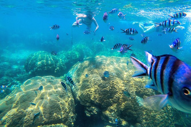 Day Tour to Angthong Marine Park by Insea Speedboat from Koh Samui - Speedboat to Angthong: what you’re really buying