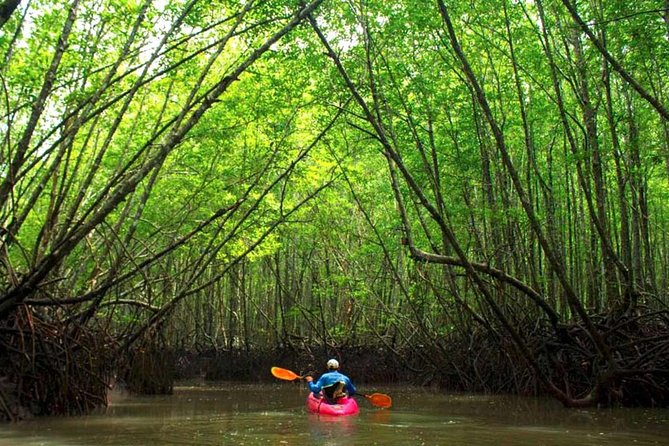 Deep Mangrove and Canyon Kayak Tour in Krabi - Key Things That Make This Krabi Kayak Tour Worth Your Time