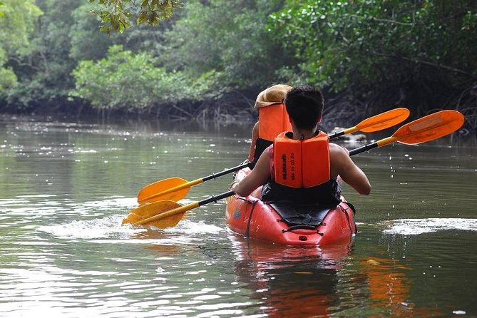 Deep Mangrove and Canyon Kayak Tour in Krabi - The Physical Side: Current, Distance, and What Might Surprise You