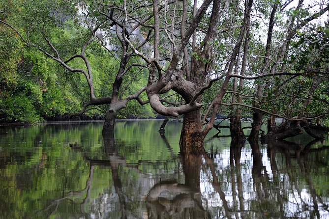 Deep Mangrove and Canyon Kayak Tour in Krabi - Price and Value: Why $42.35 Feels Fair Here