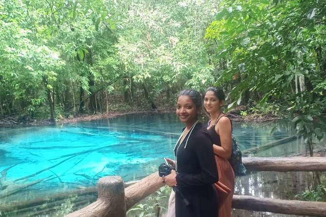 Discover Krabi - Emerald Pool, Hot Springs & Tiger Cave Temple - Tiger Cave Temple (Wat Tham Suea): The 1,260-Step Reality Check