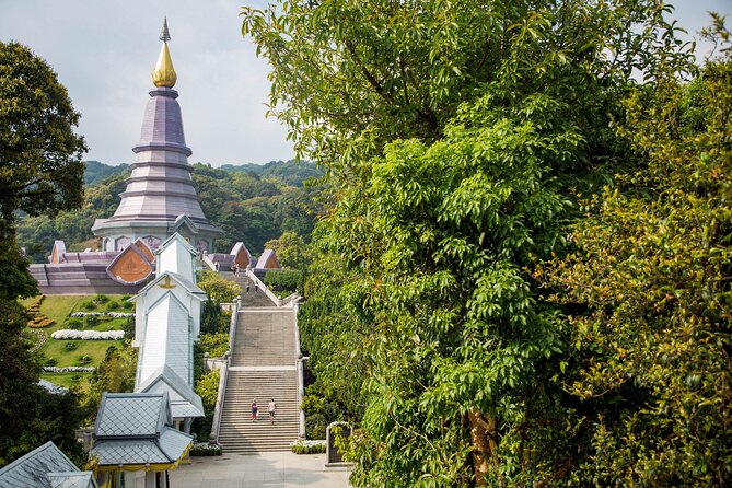 Doi Inthanon National Park Eco-Friendly Full Day Tour - Ang Ka Nature Trail: the short boardwalk walk that actually works