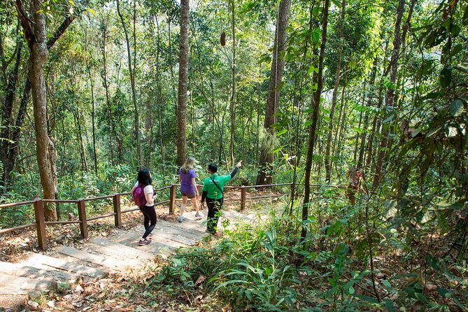 Doi Inthanon National Park Eco-Friendly Full Day Tour - Twin Royal Stupas: the pagodas with the big viewpoint payoff