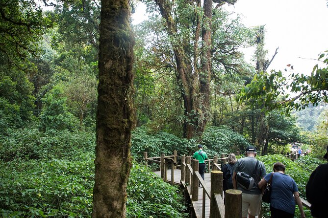 Doi Inthanon National Park Eco-Friendly Full Day Tour - Mae Klang Luang homestay: coffee brewing and hill-tribe culture