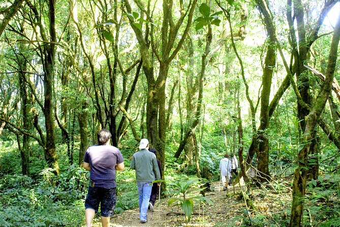 Doi Inthanon National Park, Waterfall & Royal Project Day Tour From Chiang Mai - Price and what your $31.75 actually buys