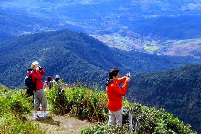 Doi Inthanon National Park with Nature Trail Trekking 1-Day Tour - Price and logistics: what you’re really paying for