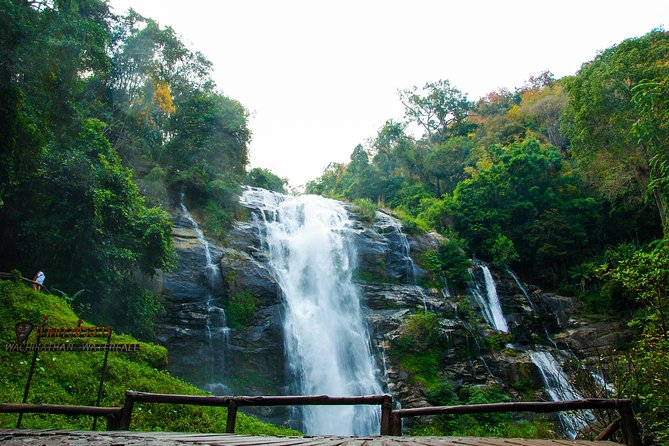 Doi Inthanon National Park with Nature Trail Trekking 1-Day Tour - Lunch timing, food quality, and what to pack