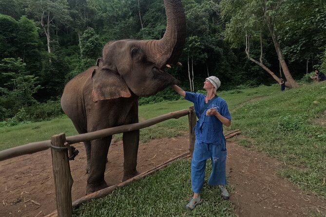 Elephant care program at CHIANGMAI ELEPHANT CARE - Mahout-Style Uniform Change: Why It Matters