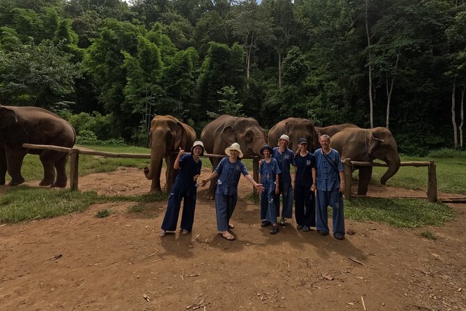 Elephant care program at CHIANGMAI ELEPHANT CARE - Elephant Time: Walking, Feeding, and the Muddy Work of Care