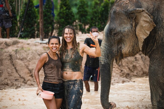 Elephant Jungle Sanctuary: Half Day Afternoon Program - The muddy water part: bathing and washing elephants