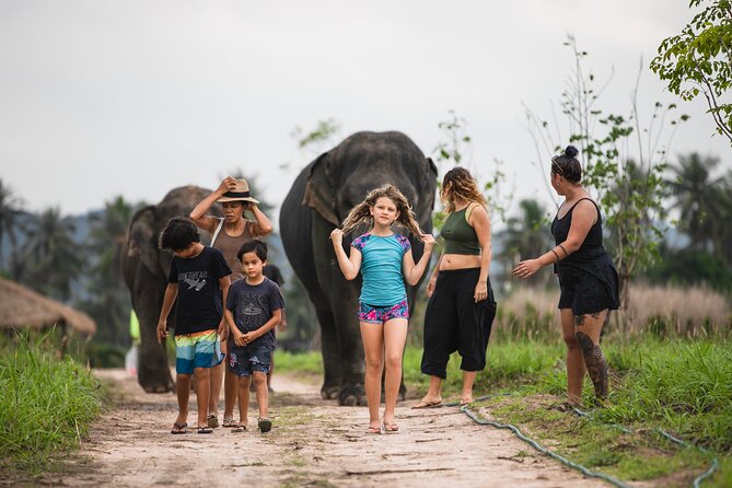 Elephant Jungle Sanctuary: Half Day Afternoon Program - Getting to Elephant Jungle Sanctuary at a 12:30 pm start