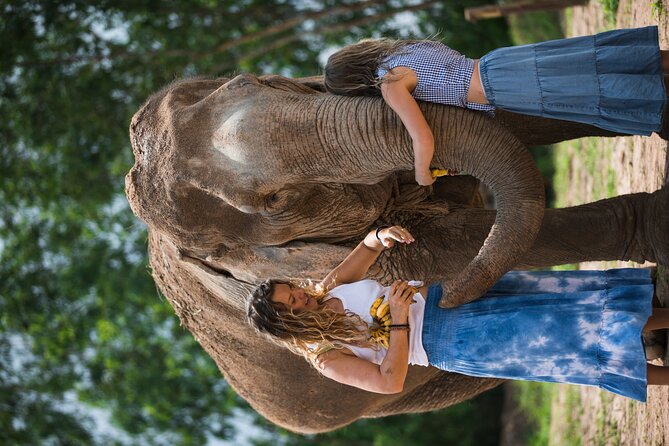 Elephant Jungle Sanctuary: Half Day Morning Program - Elephant Jungle Sanctuary Pattaya: Ethical Focus You Can Feel in the Flow