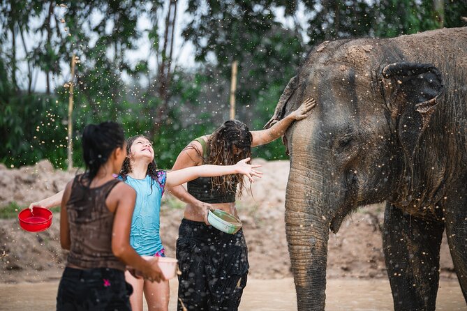 Elephant Jungle Sanctuary: Half Day Morning Program - Photos, Paper-Making, and Those Small Add-Ons That Make It Worth the Price