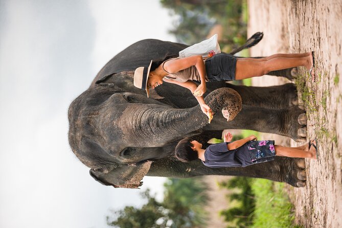 Elephant Jungle Sanctuary: Half Day Morning Program - Feeding and Bathing: What the 3 Hours Actually Feel Like
