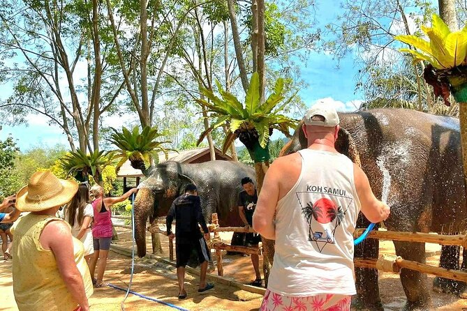 Elephant Nature Care, the largest elephant sanctuary on Koh Samui - The first encounter: feeding preparation and learning how elephants “work”