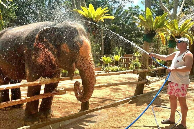 Elephant Nature Care, the largest elephant sanctuary on Koh Samui - The guide’s role: behavior talk, conservation context, and calm management