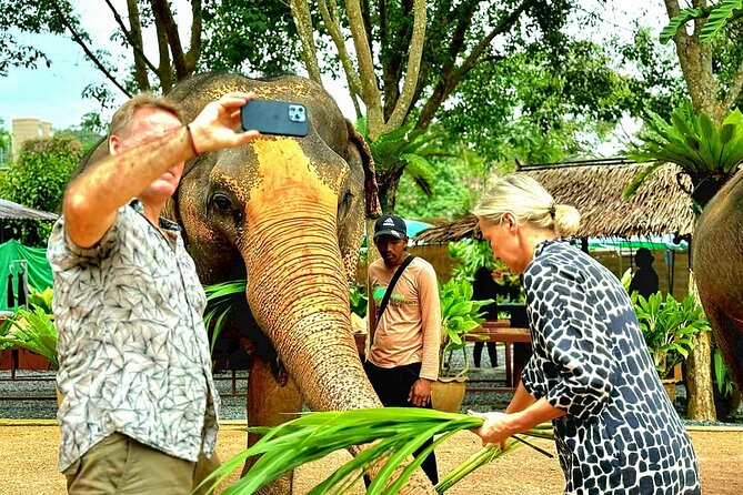 Elephant Nature Care, the largest elephant sanctuary on Koh Samui - The end-of-day keepsake: video highlights and a little downtime