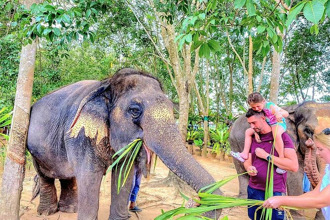 Elephant Nature Care, the largest elephant sanctuary on Koh Samui - Getting there smoothly: the hotel pickup and the 3-hour plan