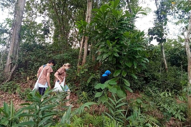 Elephant Sanctuary Small Group Tour in Phuket - Key Highlights You’ll Actually Notice